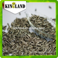The raw sunflower seeds 5009 for human consumption